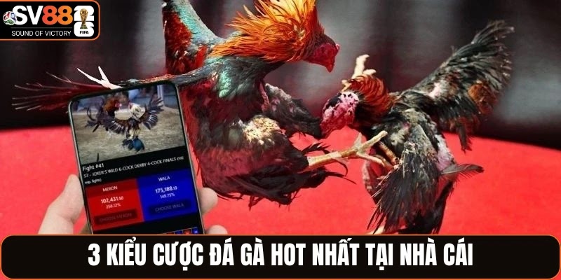 3 kiểu cược đá gà hot nhất tại nhà cái
