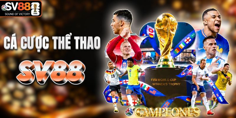 Sảnh cá cược thể thao phong phú lựa chọn